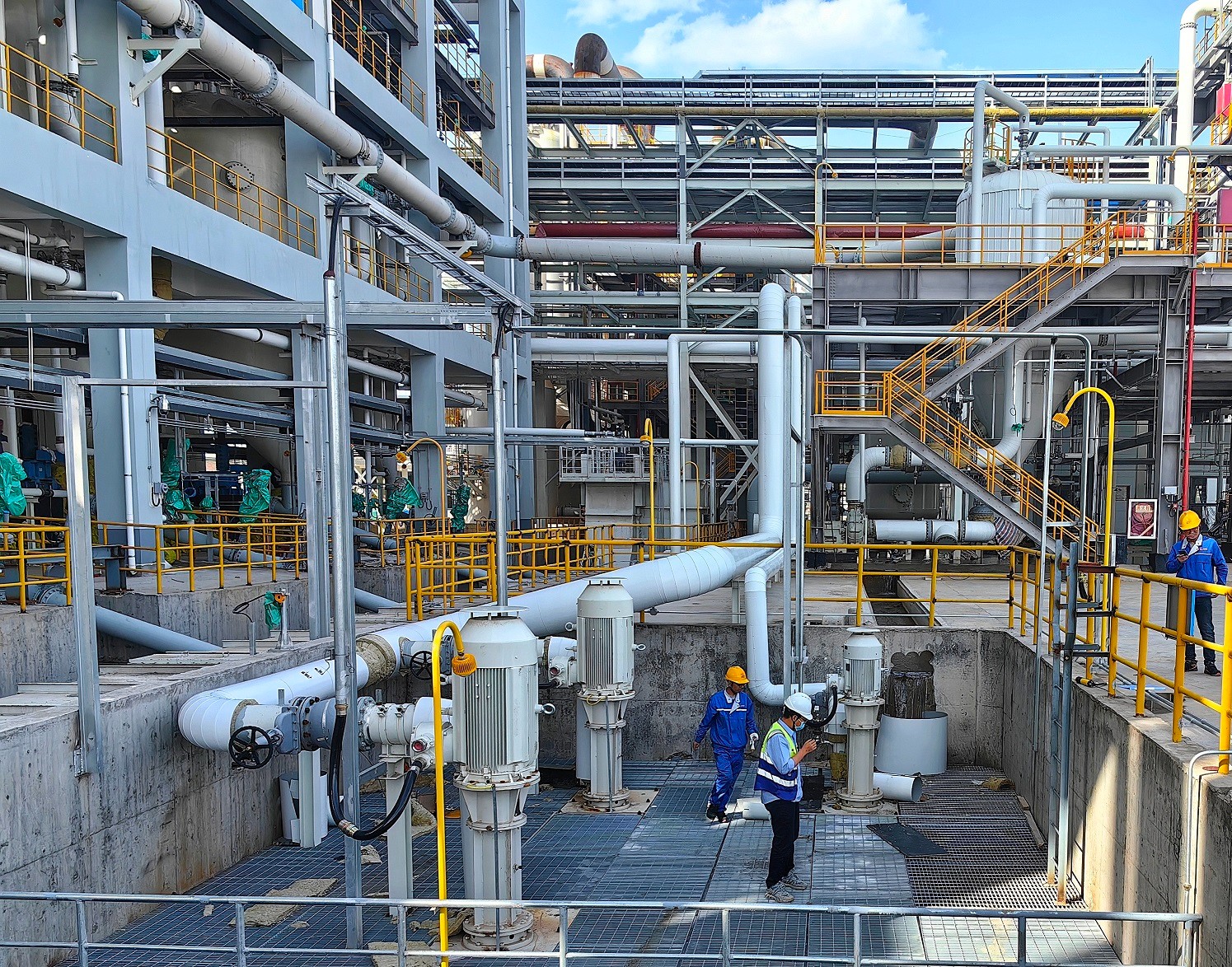 ������app