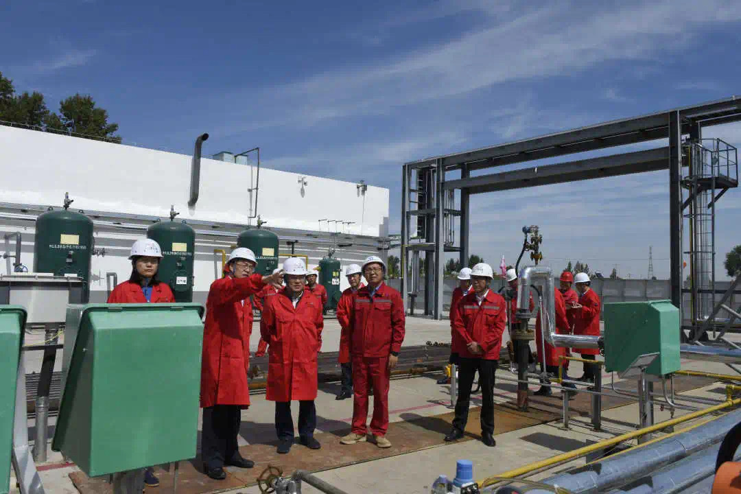 ������app