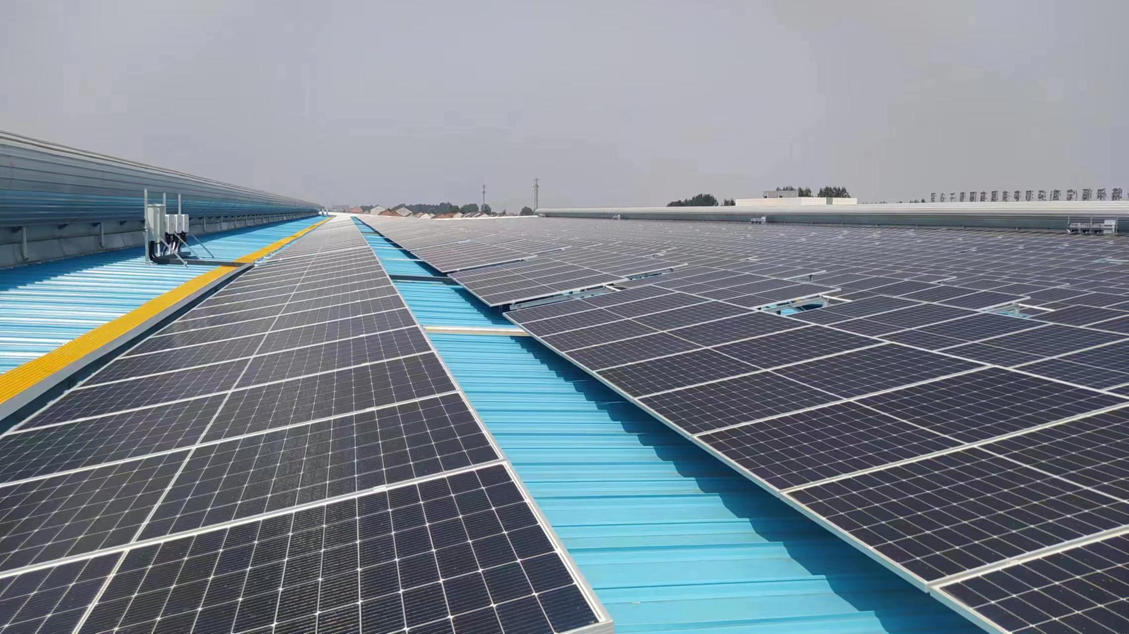 ������app