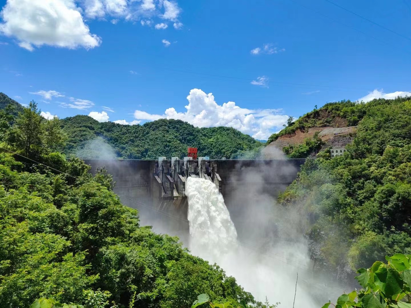 ������app