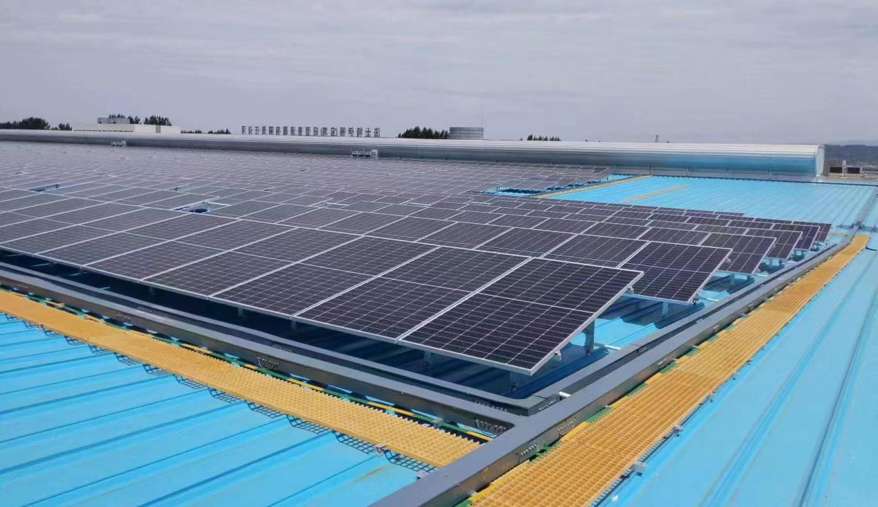 ������app