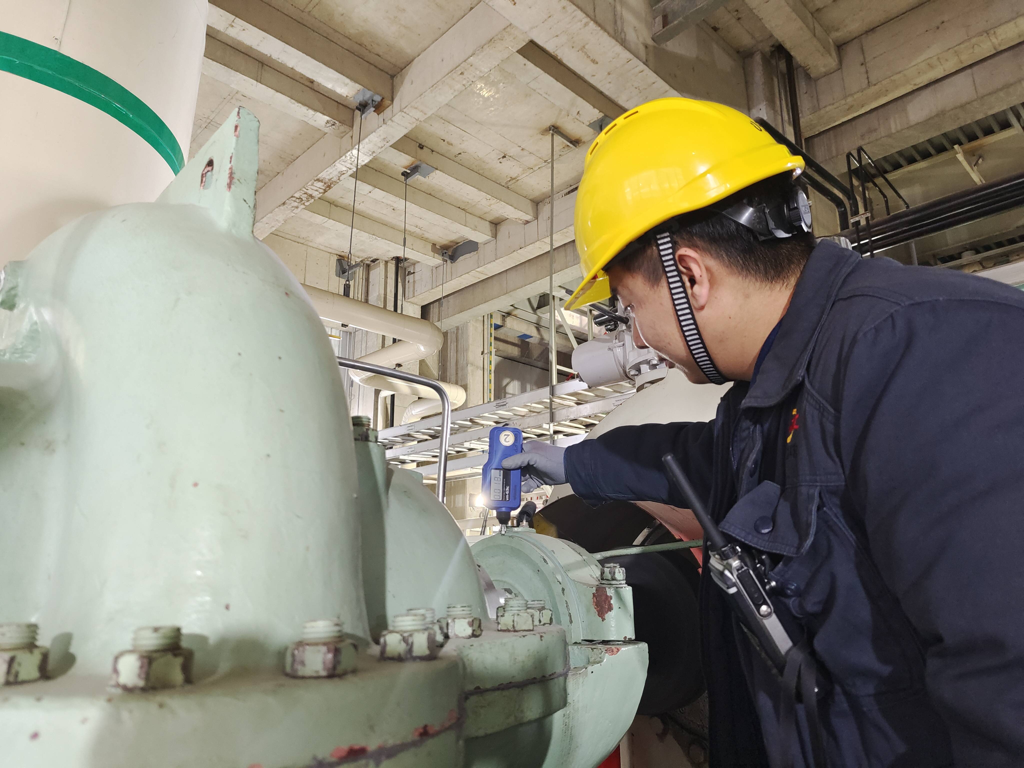 ������app