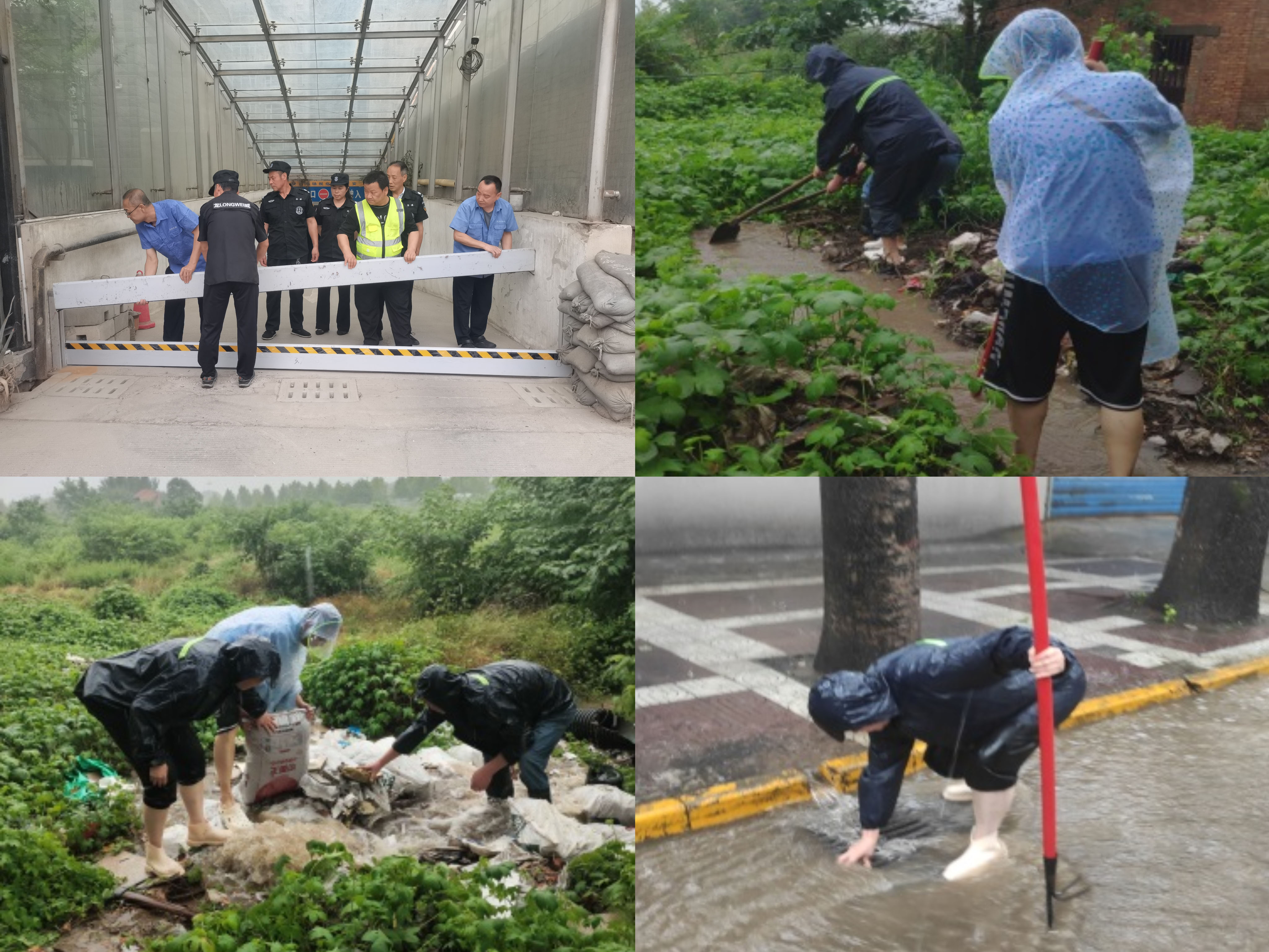 ������app